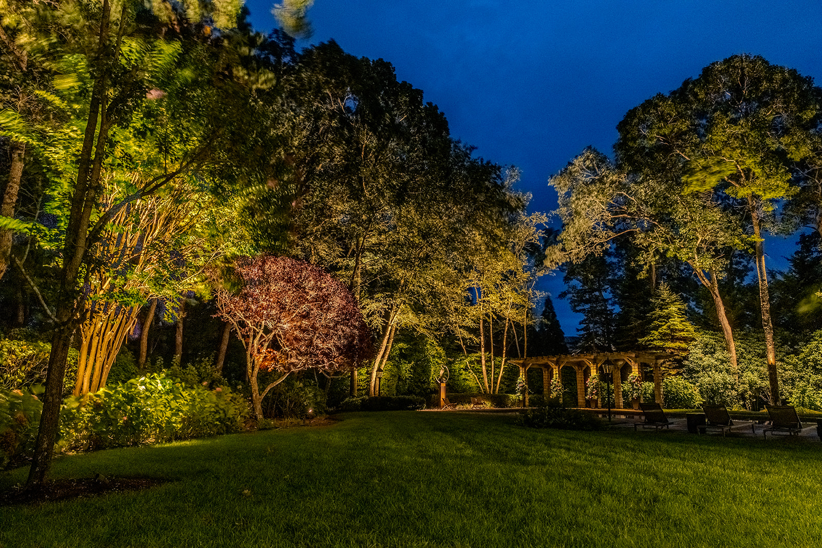 Mature trees and ornamental plantings layered with landscape lighting across a Quogue lawn