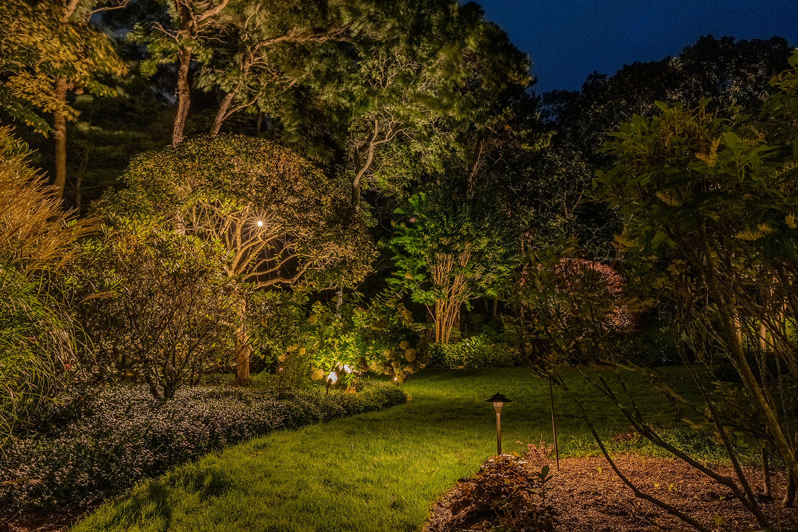 Warm pathway lighting through a layered garden at night