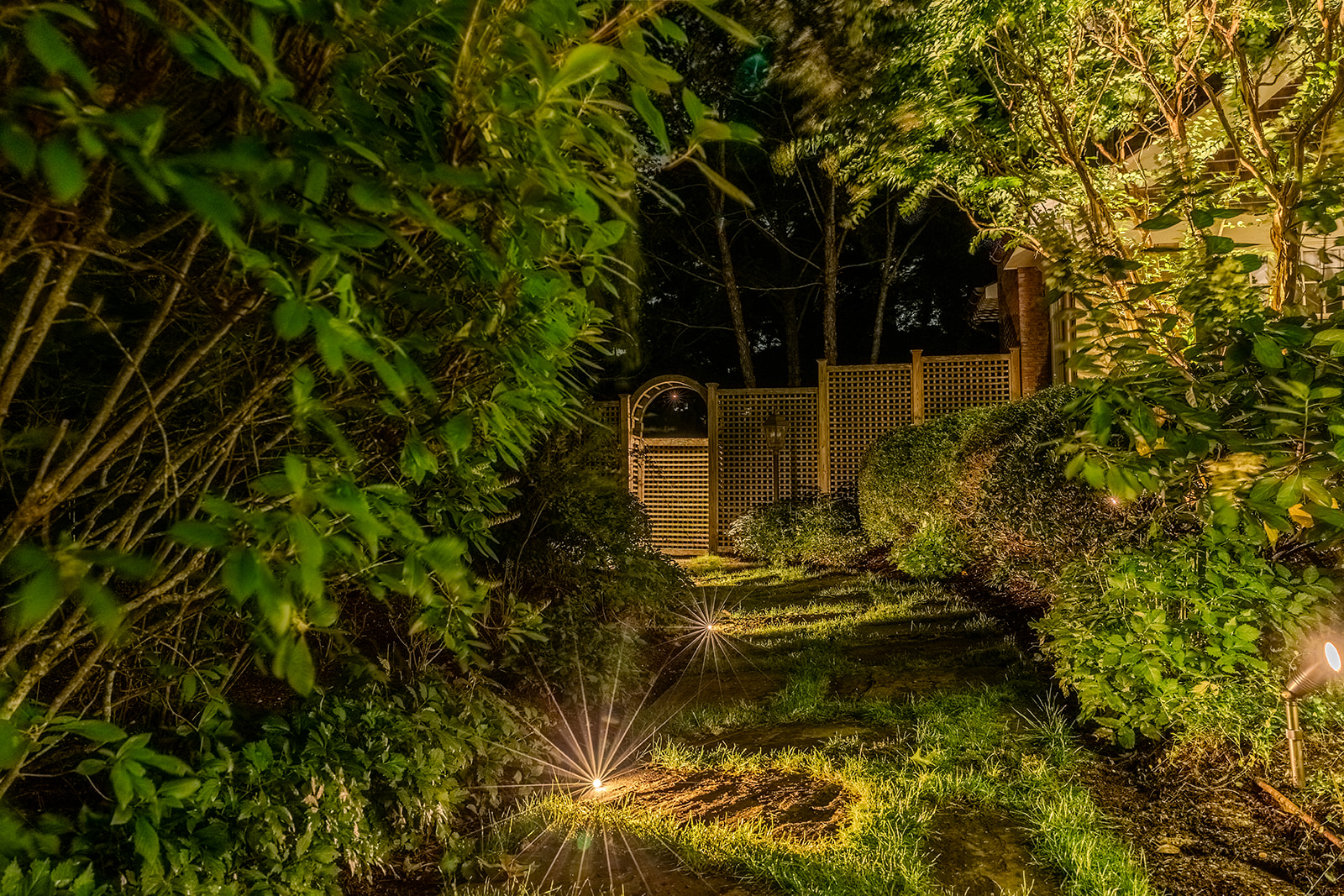 Irregular garden path passing through illuminated trees and dense plantings at a Quogue home