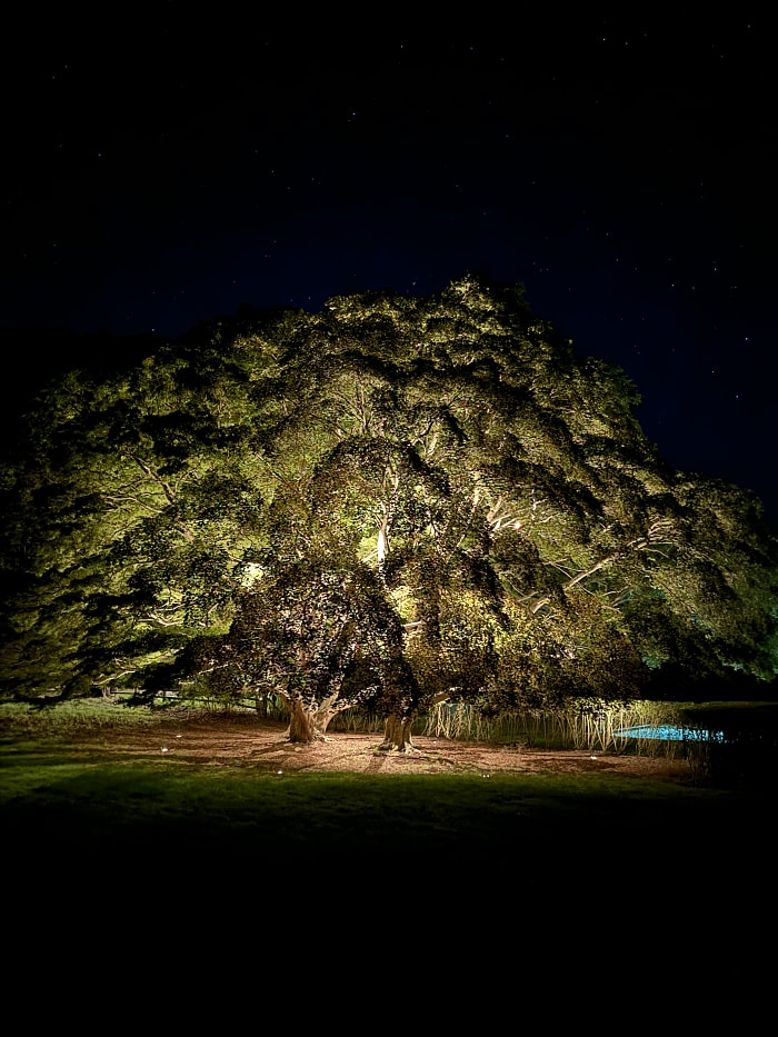 Outdoor lighting — Hamptons property night view