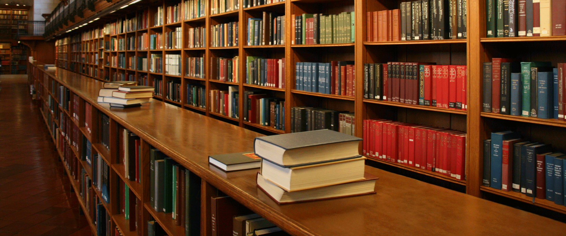 Deepen Your Faith Through Knowledge