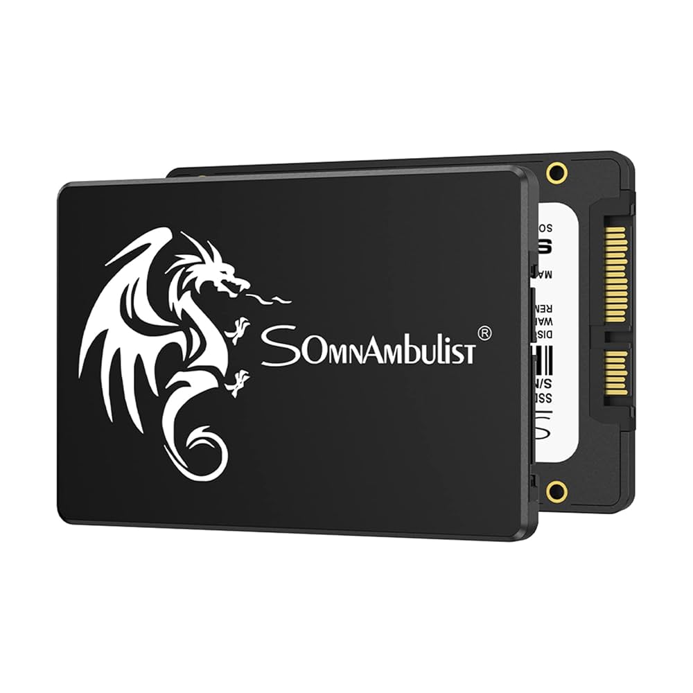 SOMNAMBULIST 512GB 2.5&Prime; SATA SSD