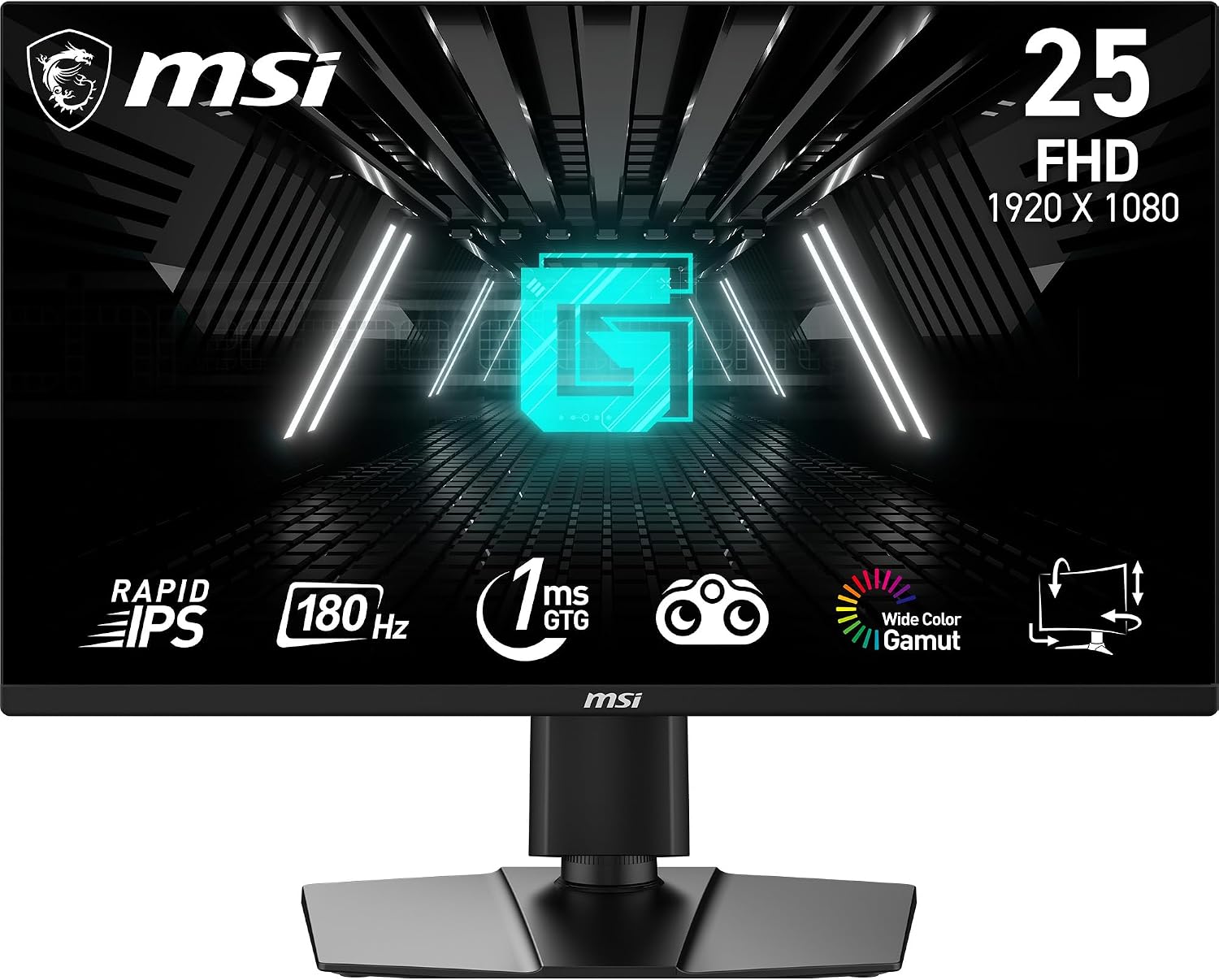 MSI G255PF E2 Écran Gaming FHD 24,5"