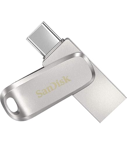 FLASH DISQUE SANDISK ULTRA DUAL DRIVE GO USB TYPE C 64GO
