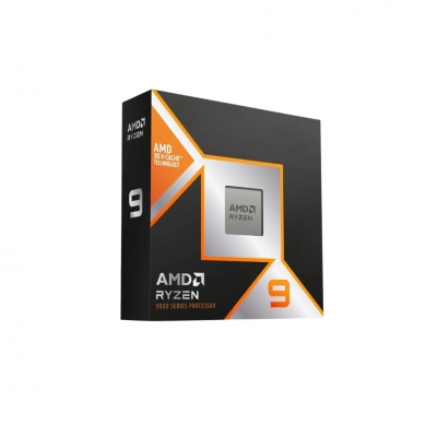 CPU AMD RYZEN 9 9900X3D _ processeur