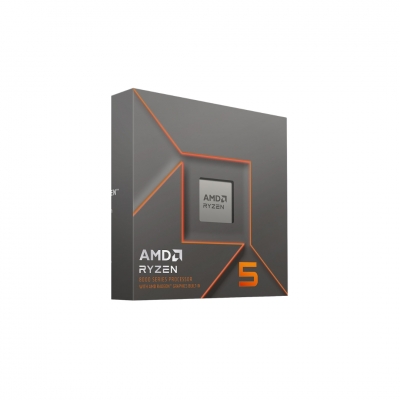 CPU AMD RYZEN 5 8600G BOX AM5 _ processeur