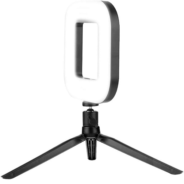 RING LIGHT LED CARRE D21 + MINI LAMPE (SANS SUPPORT)