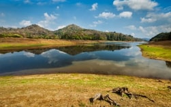 Country-img