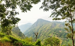 Country-img
