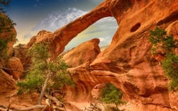 Country-img