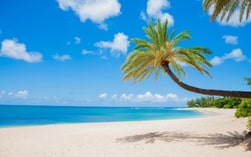 Country-img