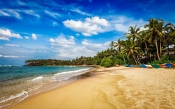 Country-img