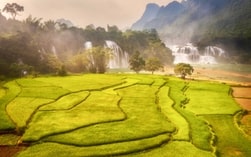Country-img