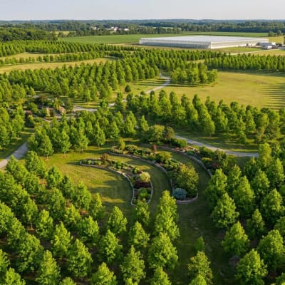 How Central Vista Farms Landscaped 90% of 28 Acres With 50,000+ Trees