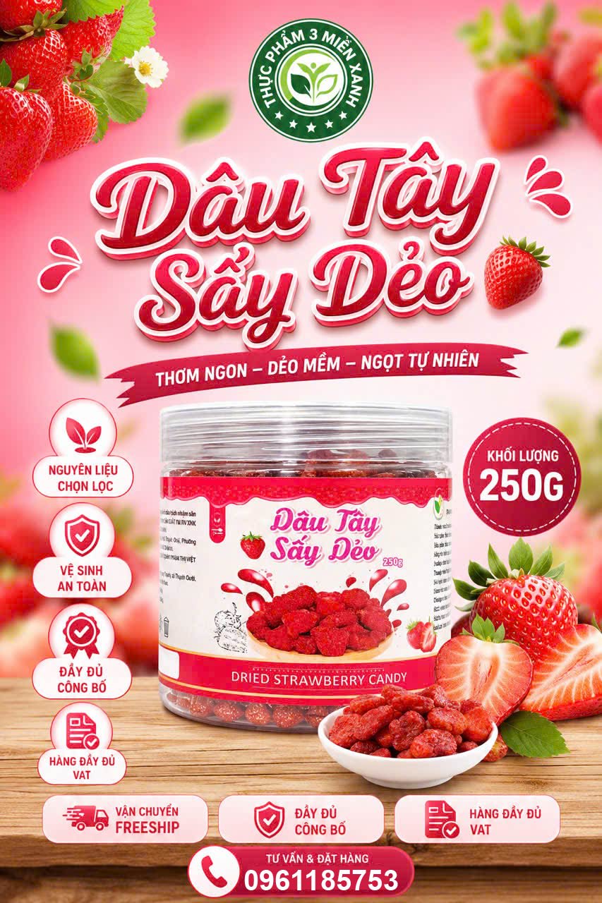 Dâu Tây Sấy Dẻo MINI (hộp 250g) - 1