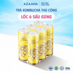 Trà Craft Kombucha Vị Sấu Gừng (Lốc 6 lon - 330 ml/lon) thumbnail 1