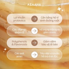 Trà Craft Kombucha Vị Mơ Má Đào (lon 330 ml) thumbnail 4