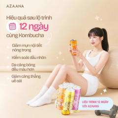 Trà Craft Kombucha Vị Mơ Má Đào (lon 330 ml) thumbnail 6