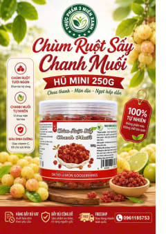 Chùm ruột chanh muối (hộp 500g) thumbnail 1