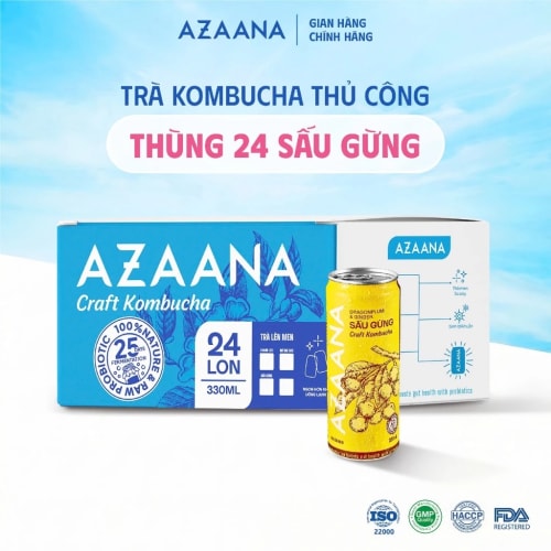 Trà Craft Kombucha Vị Sấu Gừng (Thùng 24 lon - 330 ml/lon)