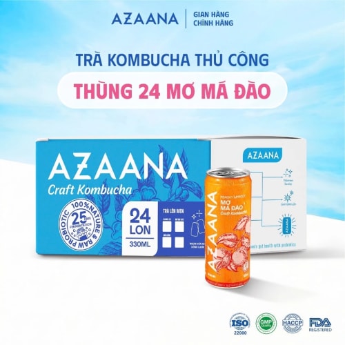 Trà Craft Kombucha Vị Mơ Má Đào (Thùng 24 lon - 330 ml/lon)