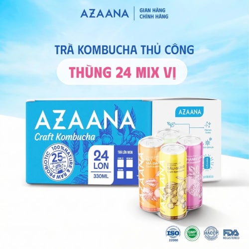 Trà Craft Kombucha Mix Vị (Thùng 24 lon - 330 ml/lon)