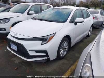 2023 TOYOTA Corolla