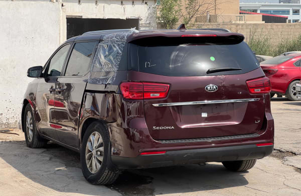 2019 KIA Sedona - Photo 3
