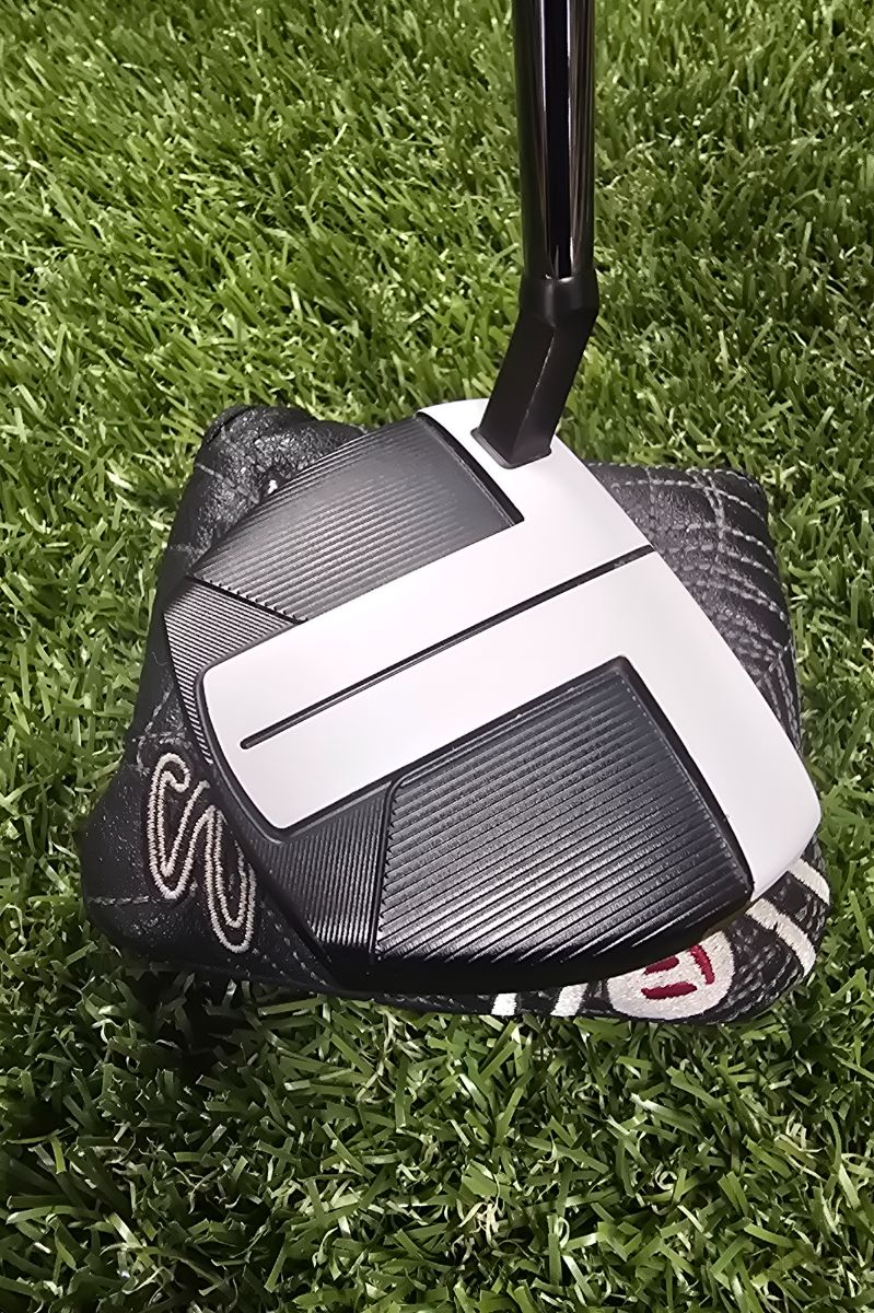 TaylorMade Spider FCG Putter