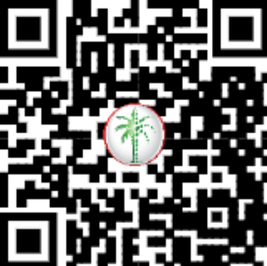 DLD QR Code