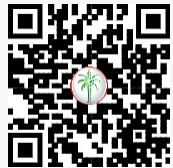 DLD QR Code