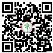 DLD QR Code