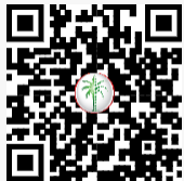 DLD QR Code
