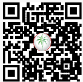 DLD QR Code