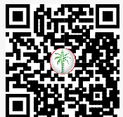DLD QR Code