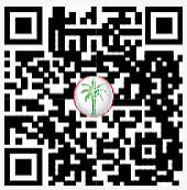 DLD QR Code