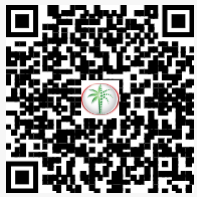 DLD QR Code