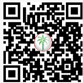 DLD QR Code