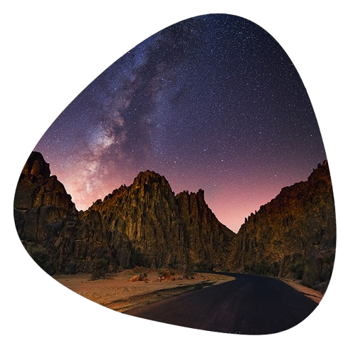 المنتجات الاستثمارية الدولية