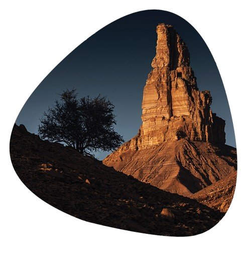 المنتجات الاستثمارية المحلية