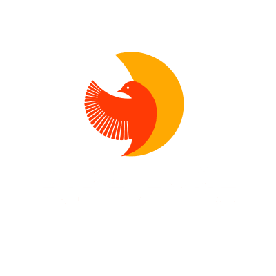 bruit 2 luxe