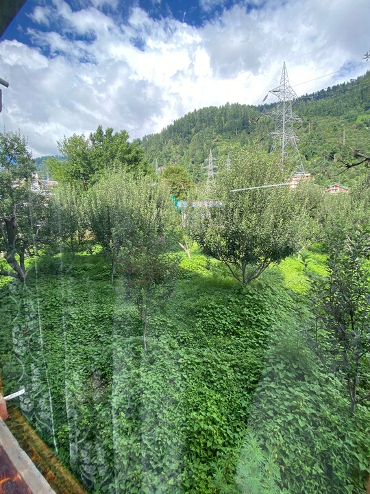 River Park Cottage — image 4