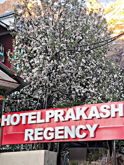 Prakash Regency — image 6