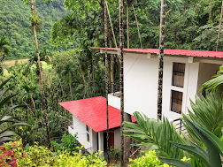 Betelnut Resort