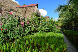 Blue Bird Resort — image 2