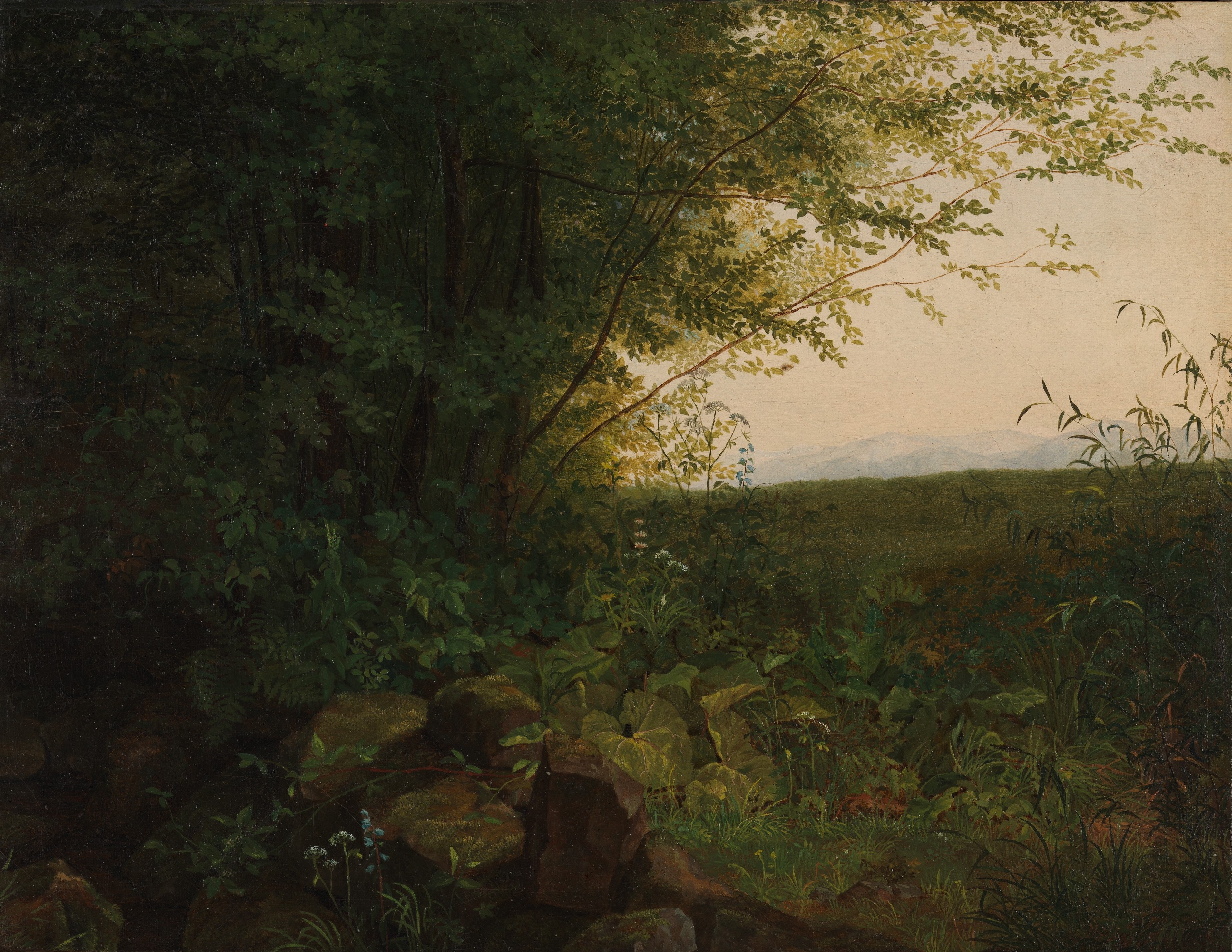 A3 Art Print titled At the Edge of the Forest by August Heinrich for room decor