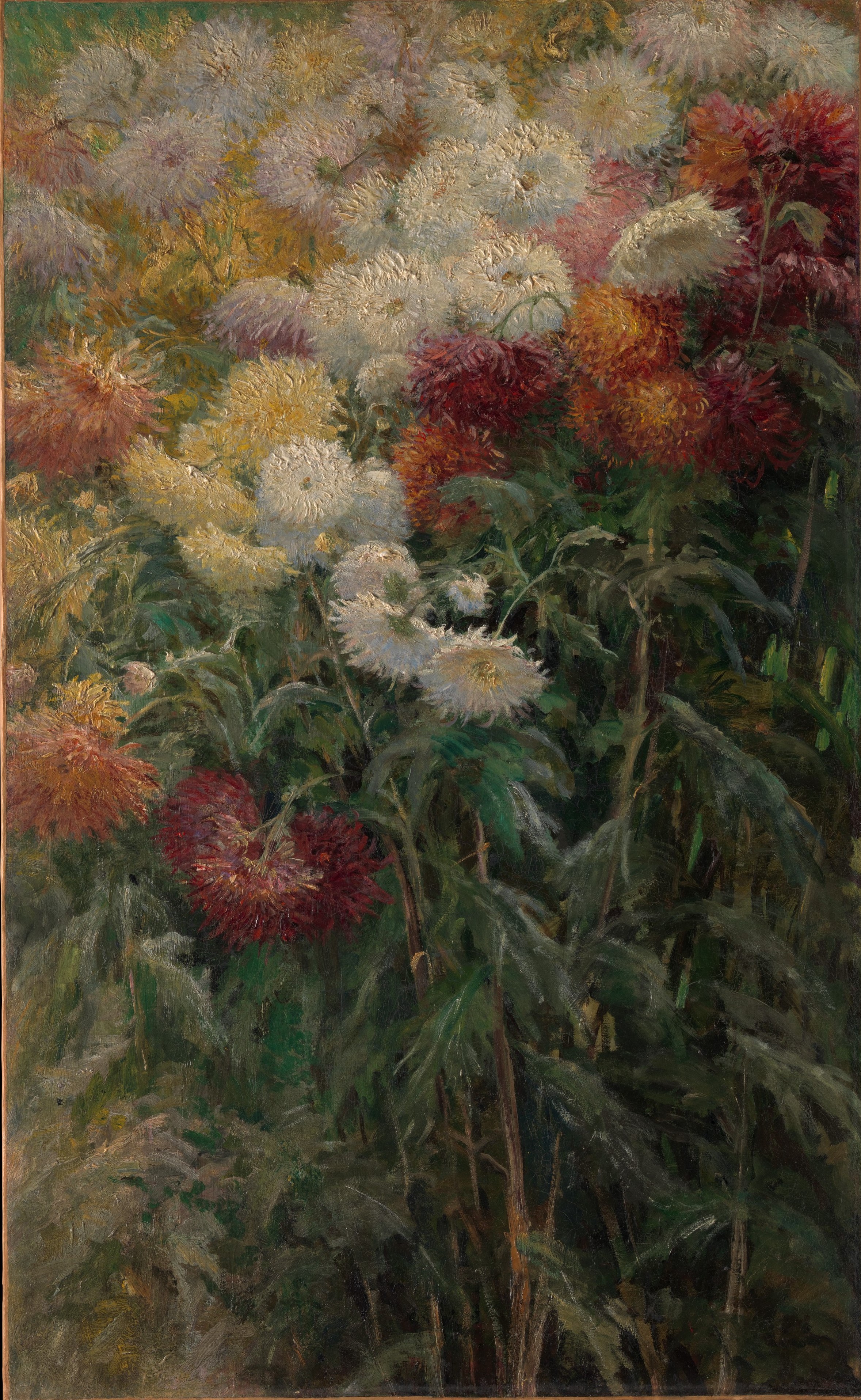 A3 Art Print titled Chrysanthemums in the Garden by Gustave Caillebotte for room decor