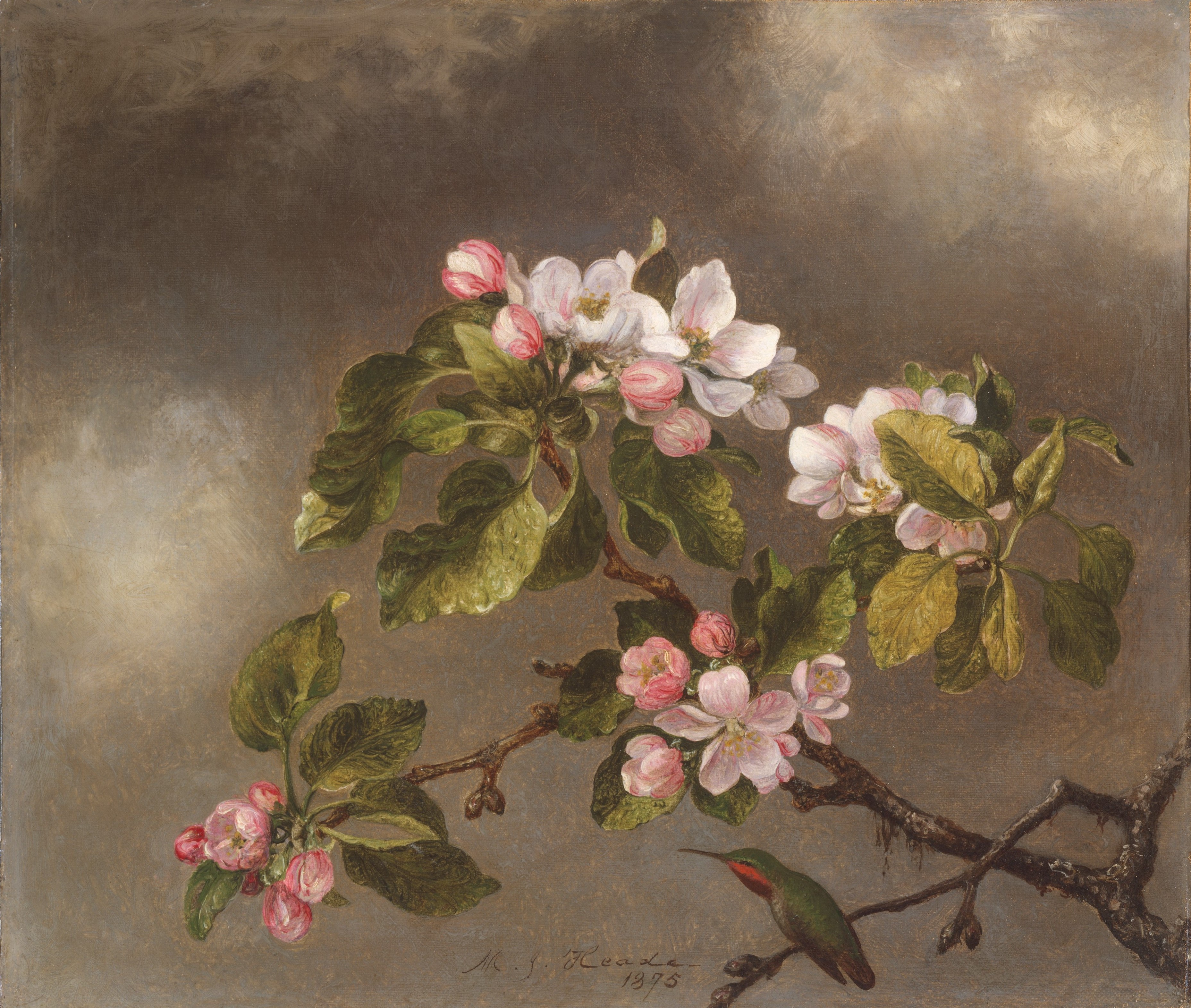 A3 Art Print titled Hummingbird and Apple Blossoms by Martin Johnson Heade for room decor