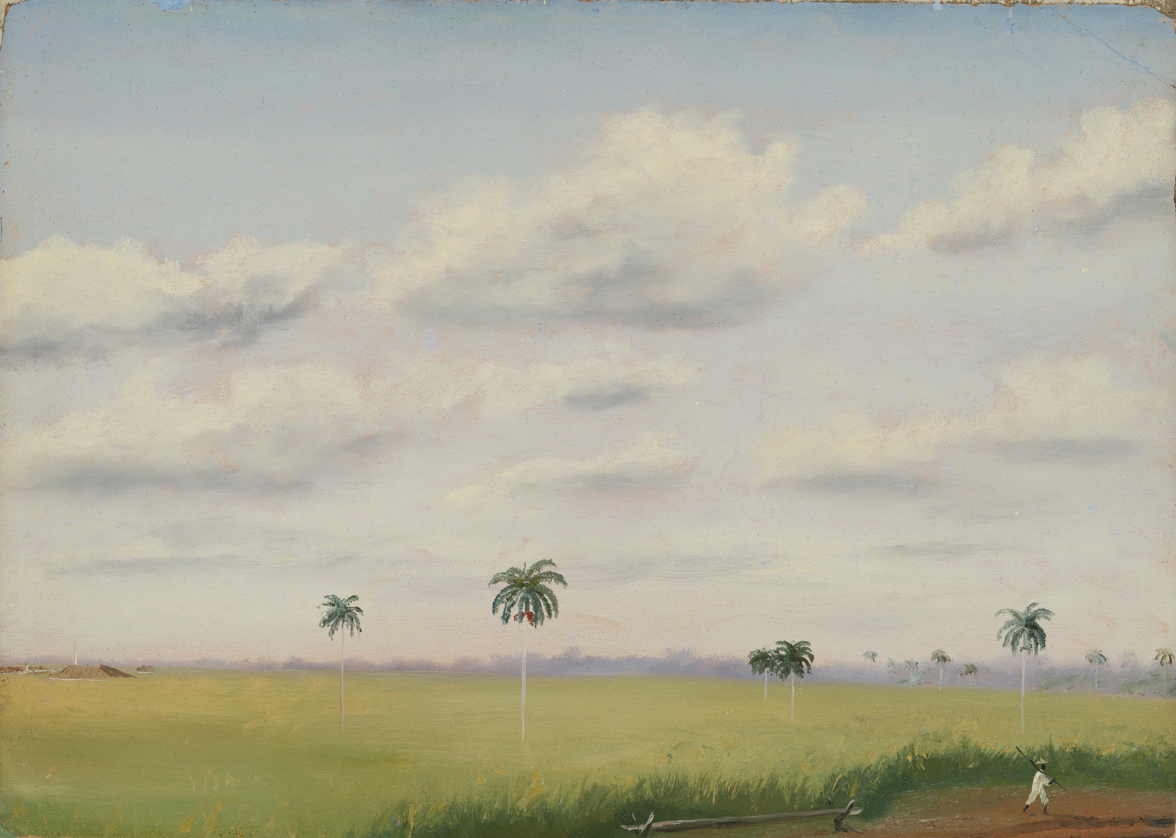 A3 Art Print titled Ingo, San Martin, Cuba by Charles Dewolf Brownell for room decor