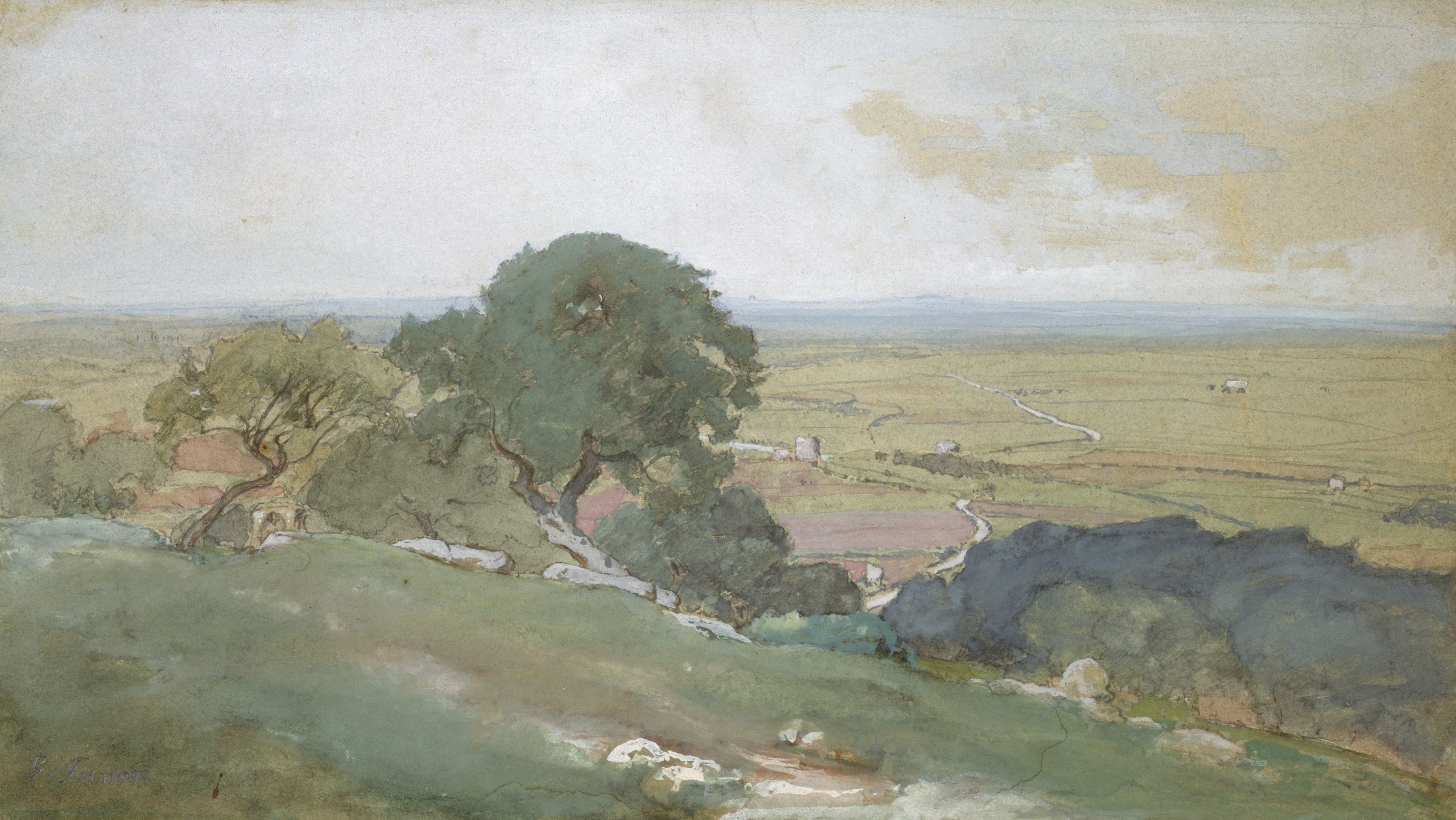 A3 Art Print titled Olive Trees at Tivoli by George Inness for room decor